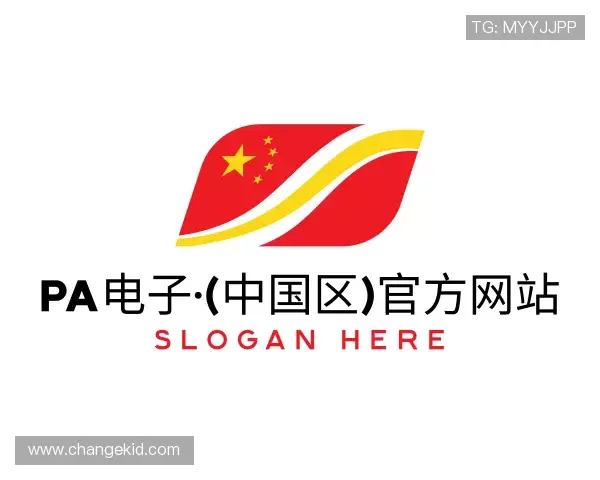 介绍PA电子
